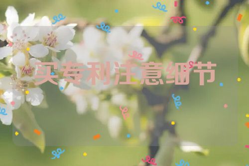 買專利，如何注意細(xì)節(jié)  個(gè)人買專利 專利好處 專利的好處 專利的價(jià)值 第1張