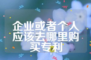企業(yè)或者個(gè)人應(yīng)該去哪里購買專利